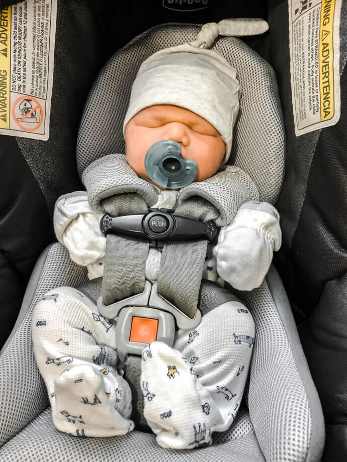 Jude on his first car ride home!